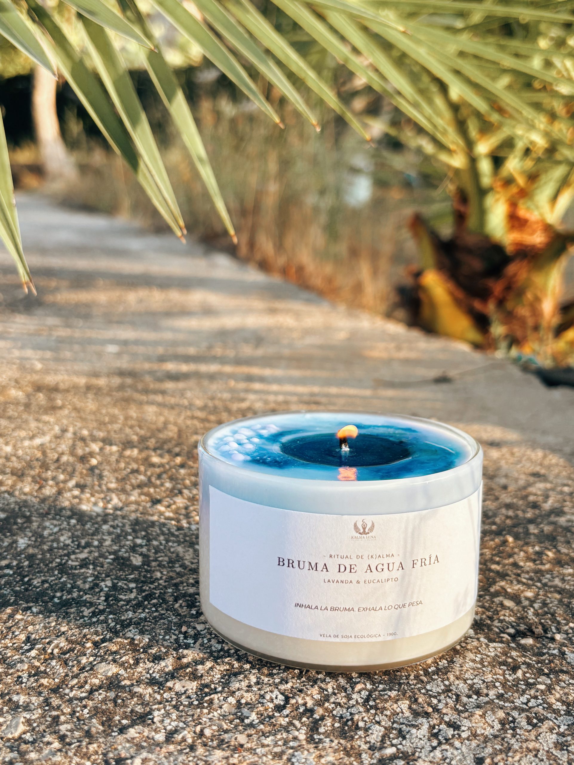 Ritual de domingo: cómo un minuto puede transformar tu calma