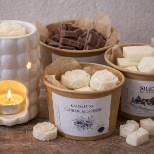 Pack iniciación a los wax melts