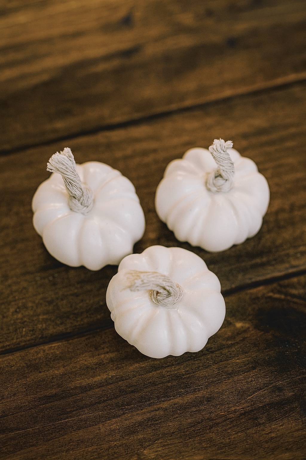 Pack 3 Calabazas de Yeso al Agua – Decoración Artesanal - Imagen 3