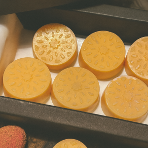 Wax Melts de Mango | 6 cubitos botánicos