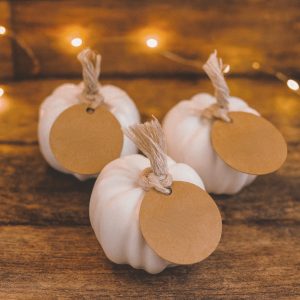 Pack 3 Calabazas de Yeso al Agua – Decoración Artesanal