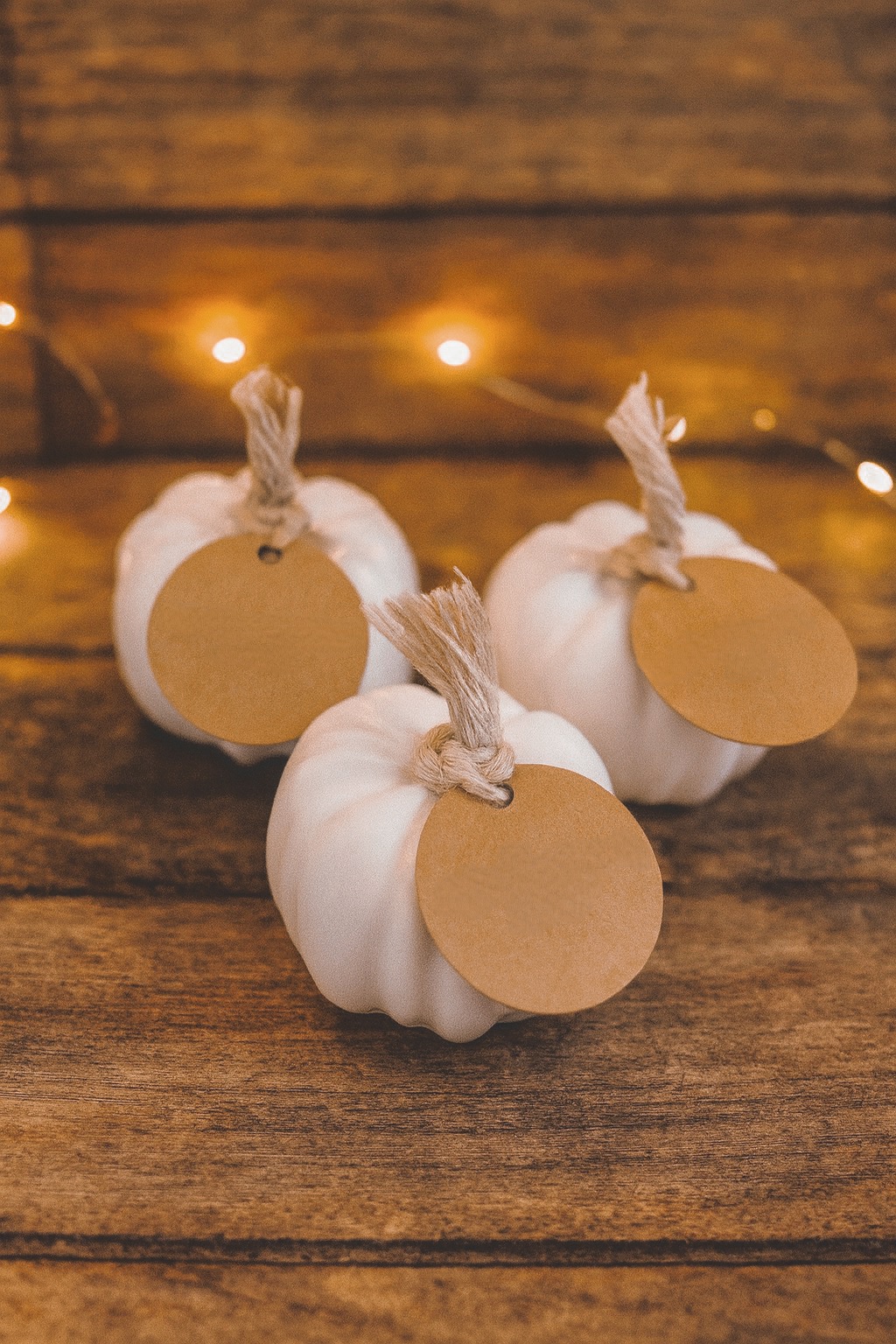 Pack 3 Calabazas de Yeso al Agua – Decoración Artesanal