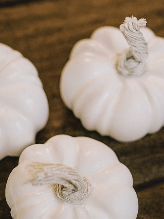 Pack 3 Calabazas de Yeso al Agua – Decoración Artesanal - Imagen 2