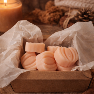 Wax melts Roasted pumpkin - Calabaza asada - Colección Gourmand