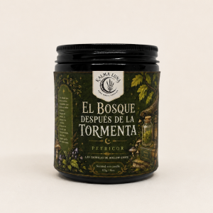 El bosque después de la tormenta - Petricor